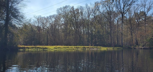 [Power Line at bottom of Gilchrist Blue Springs State Park, left bank, 13:11:08, 29.8336191, -82.6873627]