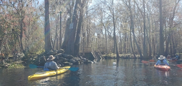 [Devil's Ear Spring Run in Ginnie Springs Private Park, 13:25:58, 29.8353770, -82.6968420]