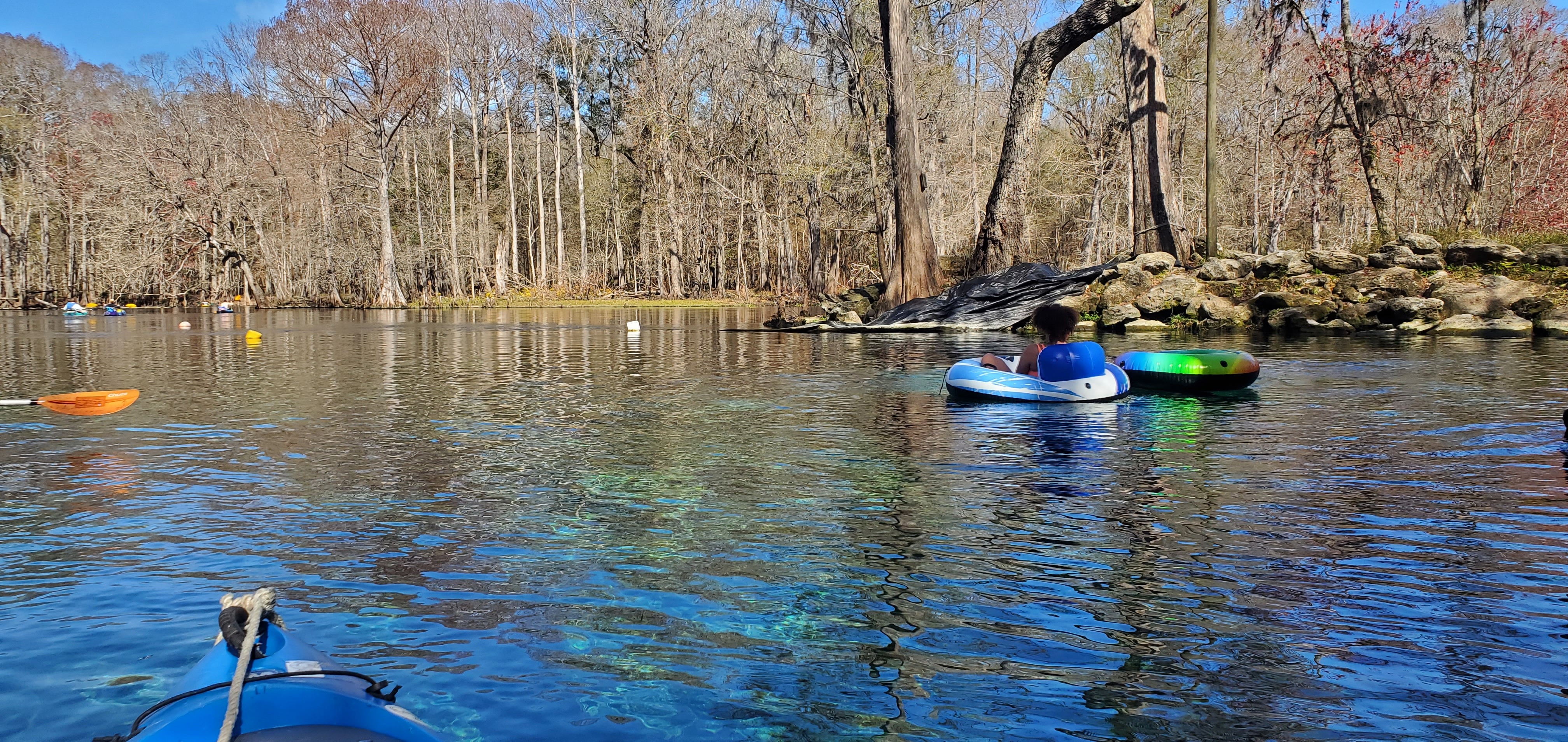 Tubers in Devil's Ear Spring Run, 13:45:31, 29.8351768, -82.6967260