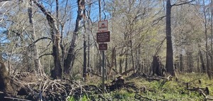 [No Motors, No Walking in Spring Run Restoration Project, No Fishing, 12:25:46, 29.8325, -82.6817943]