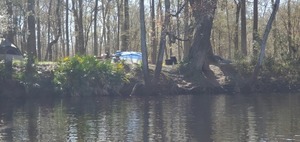 [Tents in Ginnie Springs Private Park, 13:17:42, 29.8341112, -82.6916270]