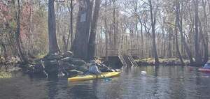 [Movie: Devil's Ear Spring Run in Ginnie Springs Private Park, 13:26:03, 29.8353773, -82.6968424 (42M)]