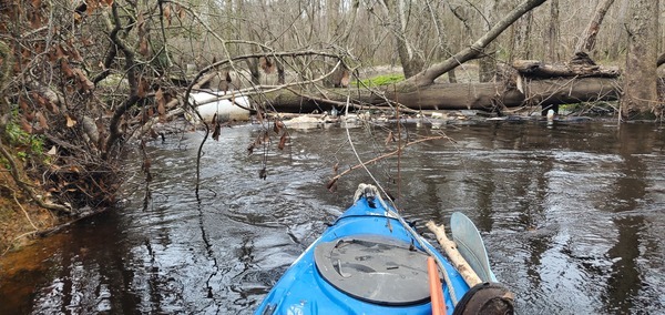 [Trash jam on left of sewer line, 11:26:40, 30.8576405, -83.3259709]