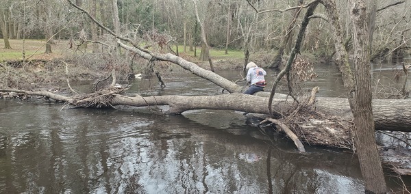 [Phil sawing a Hurricane Idalia deadfall, 11:43:31, 30.8547589, -83.3306693]