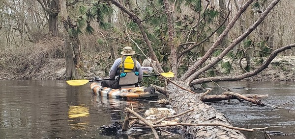 Shawn and Phil sawing the recent deadfall, 12:39:06, 30.8511759, -83.3390244