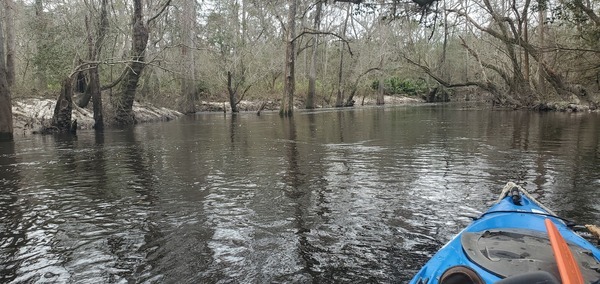 [Water coming fast out of a slough, 13:05:55, 30.8477903, -83.3430804]