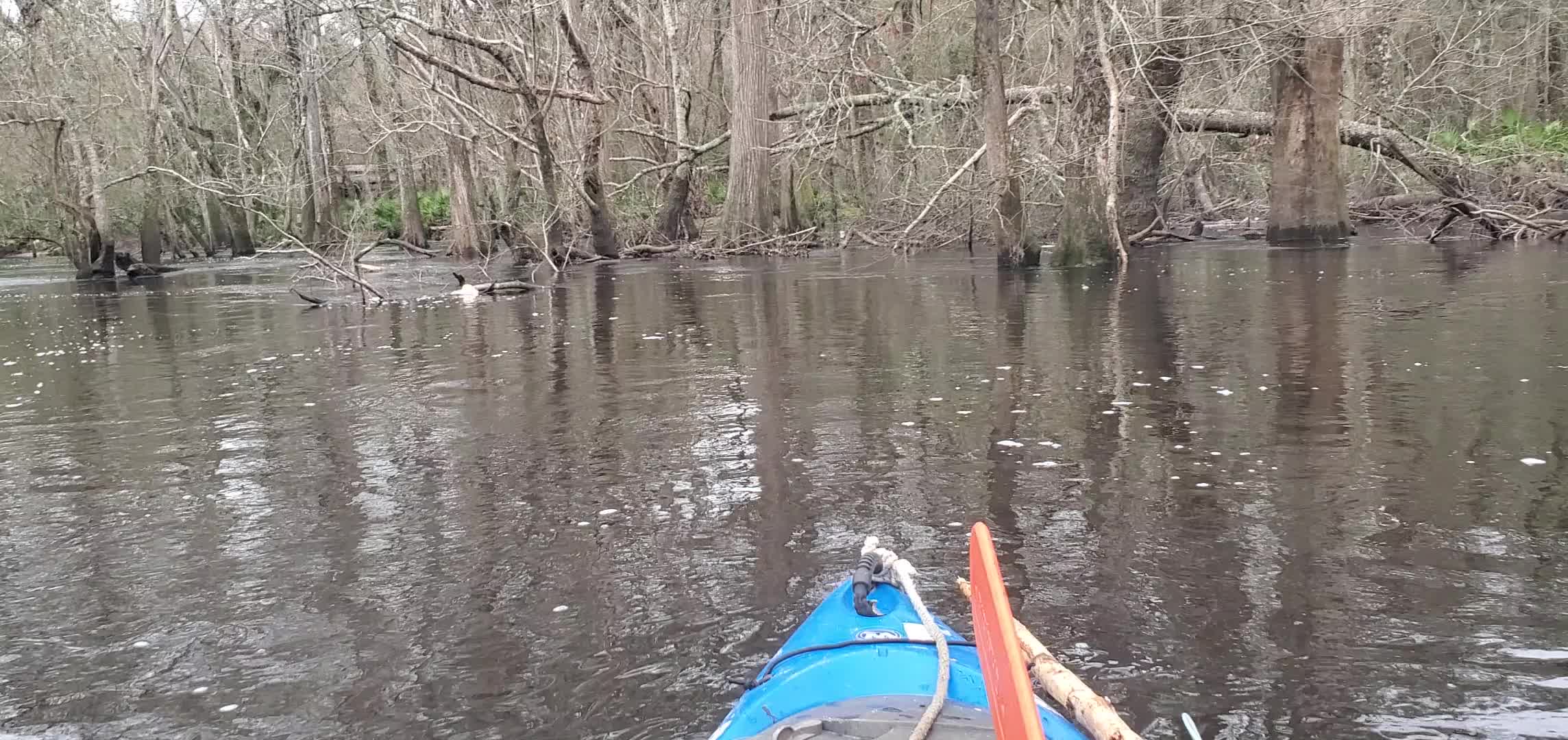 Movie: Sugar Creek, Withlacoochee River, RR bridge, 30.8640570, -83.3206630 (16M)