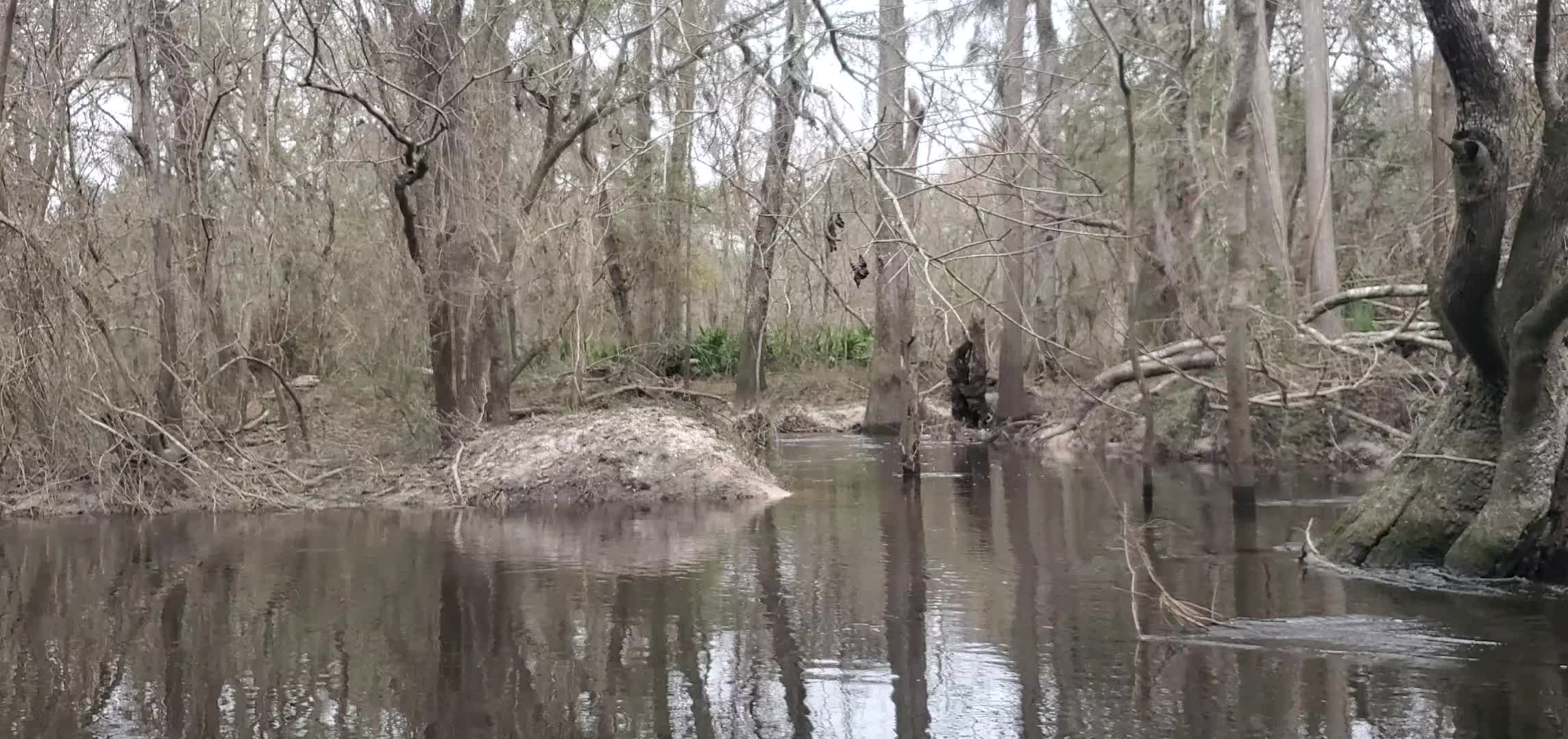 Movie: Slough or creek?, 30.8587106, -83.3261897 (5.8M)