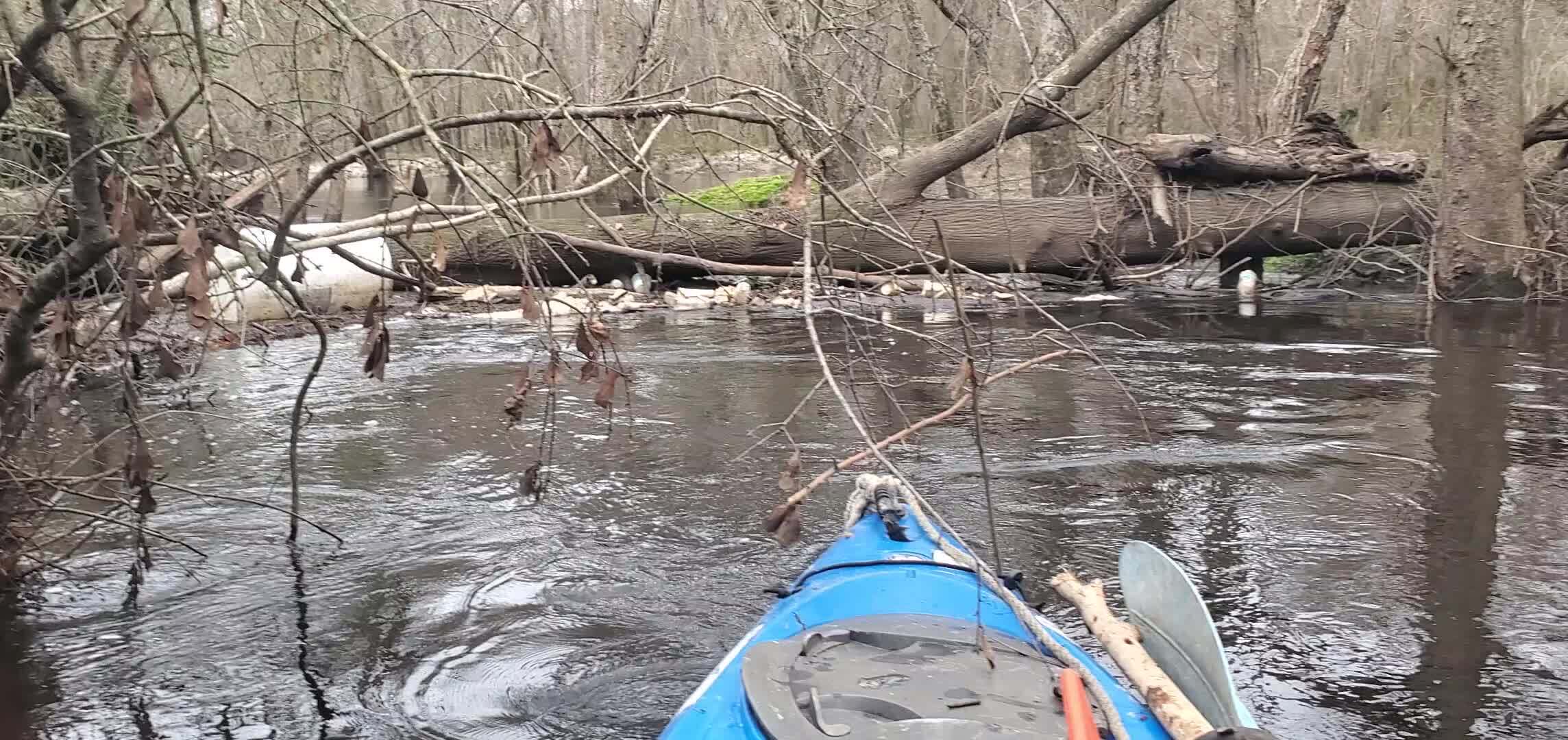 Movie: Trash jam on left of sewer line, 11:26:40, 30.8576405, -83.3259709 (10M)