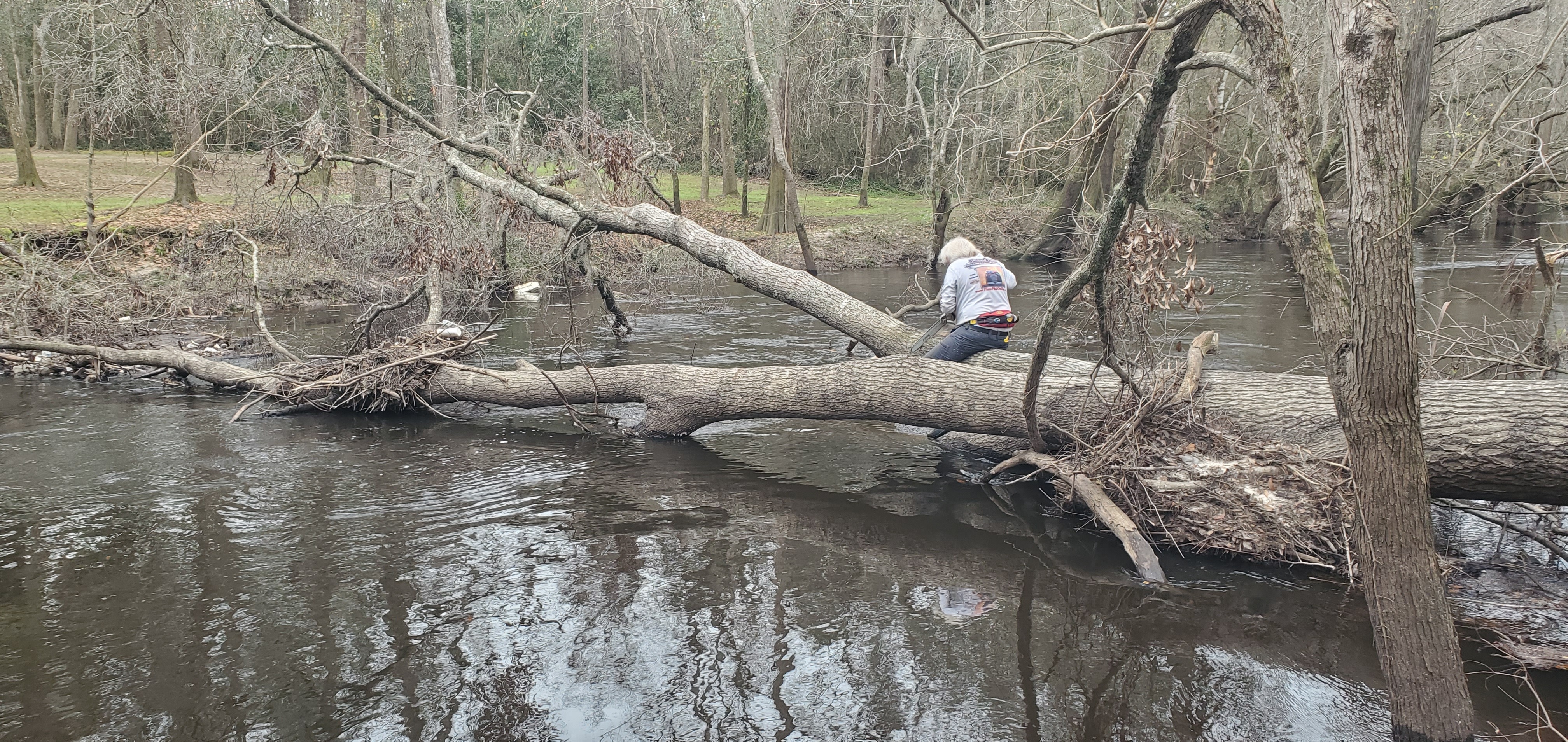 Phil sawing a Hurricane Idalia deadfall, 11:43:31, 30.8547589, -83.3306693