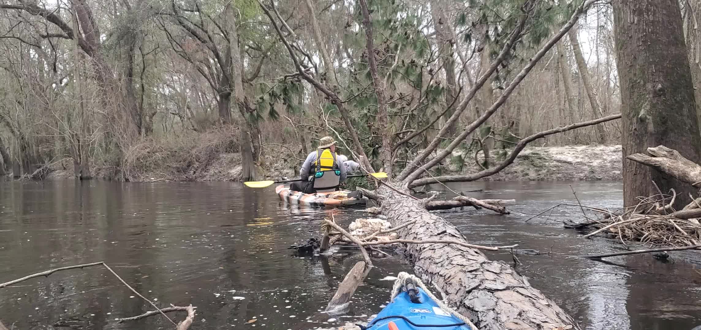 Movie: Shawn pole-sawing branches, 30.8511759, -83.3390244 (5.1M)