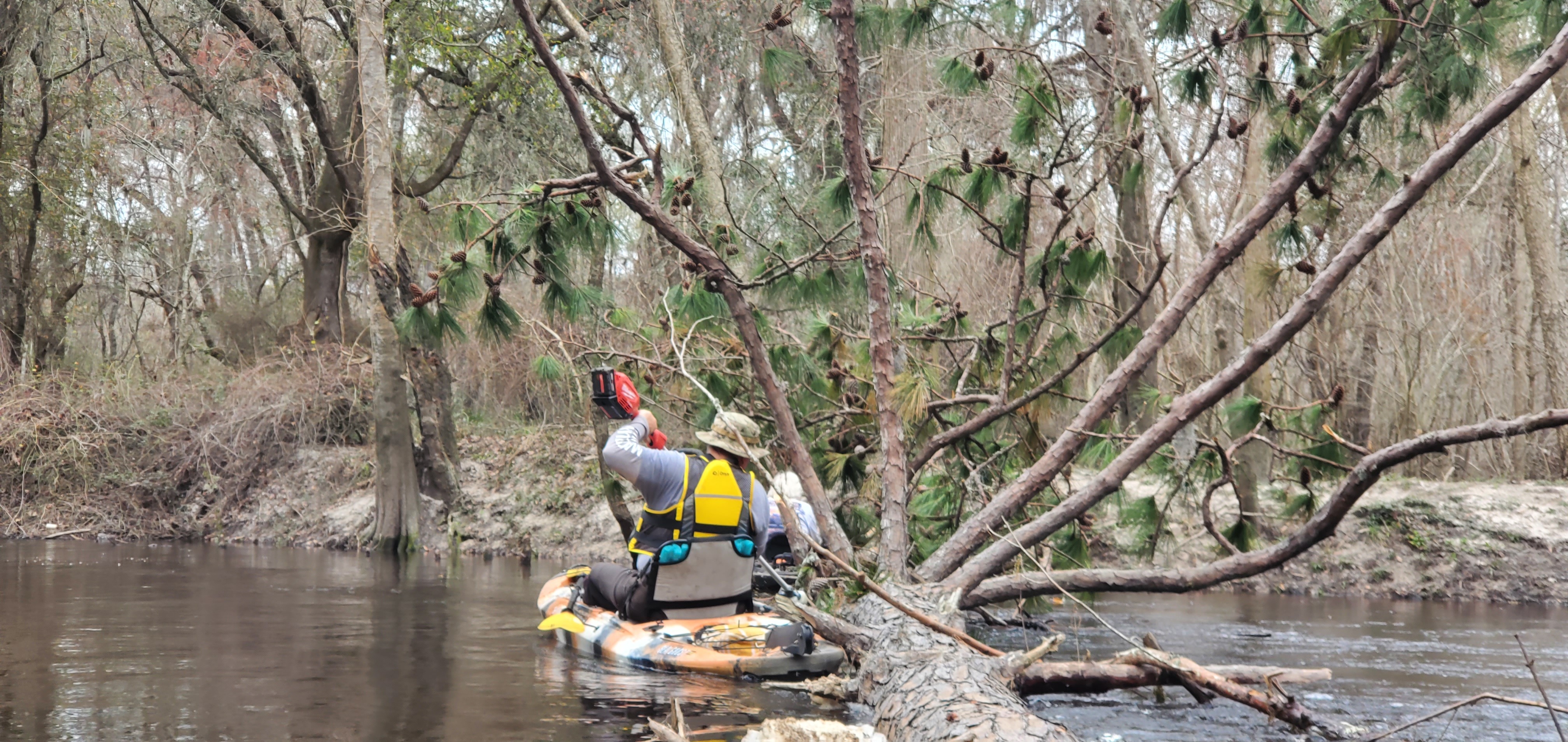 Shawn pole-sawing, 12:41:12, 30.8514385, -83.3392618