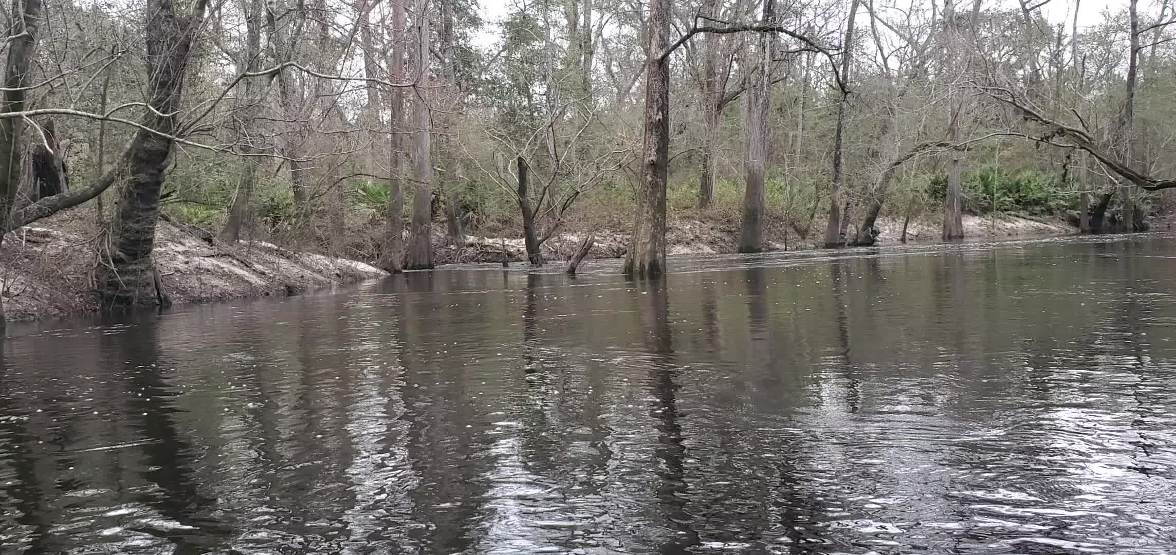 Movie: Water coming fast out of a slough, 13:05:55, 30.8477903, -83.3430804 (27M)