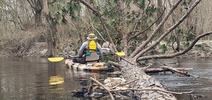 [Shawn and Phil sawing the recent deadfall, 12:39:06, 30.8511759, -83.3390244]