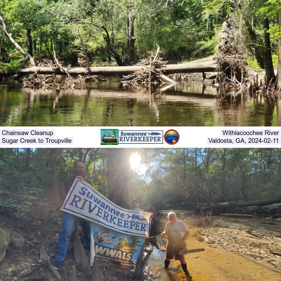 Crowe Deadfall 2022-07-30; Riverhill Drive Deadfall 2022-10-16; Chainsaw Cleanup, Sugar Creek to Troupville, Withlacoochee River 2024-02-11