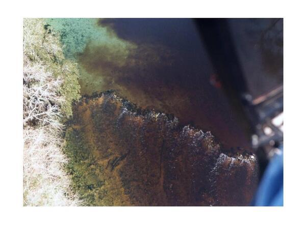 Aerial: Fish weir just downstream of Madison Blue Spring, helicopter view by Tom Baird