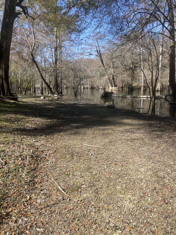 [Point Park, Ichetucknee River @ SW Riverside Ave. 2024-02-21]