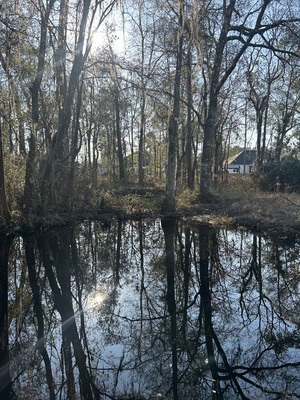 [Franks Creek @ GA 122 other, Withlacoochee River @ Frankinville Road 2024-02-21]