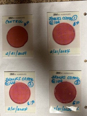 [Plates, Franks Creek @ GA 122 2024-02-21]