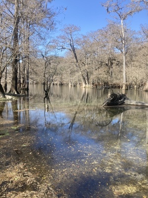 [Point Park other, Ichetucknee River @ SW Riverside Ave. 2024-02-21]