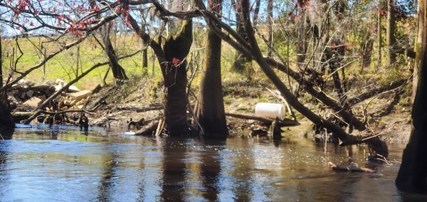 [Boat on shore, 11:34:01, 30.8546220, -83.3331136]