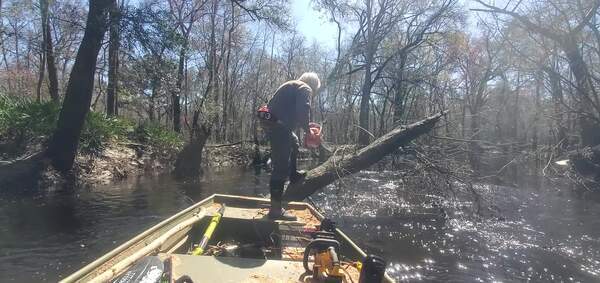 [Movie: Using the outboard to hold the jon boat in place for chainsawing, 12:14:06, 30.8600962, -83.3255324 (40M)]