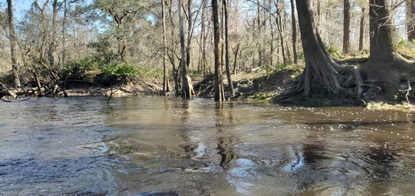 [Wetherington Branch from Valdosta WWTP, 14:51:39, 30.8370385, -83.3642845]