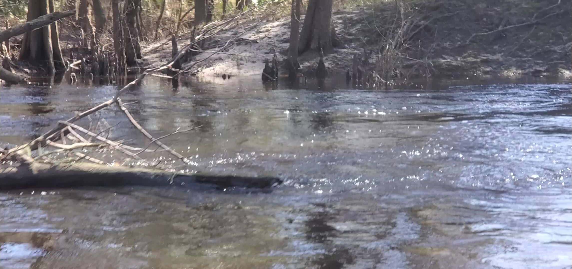 Movie: Wetherington Branch from Valdosta WWTP, 30.8370385, -83.3642845 (13M)