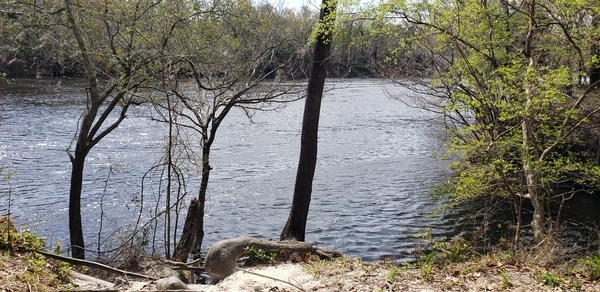 Royal Springs Ramp other, Suwannee River @ 157 Drive 2024-02-28