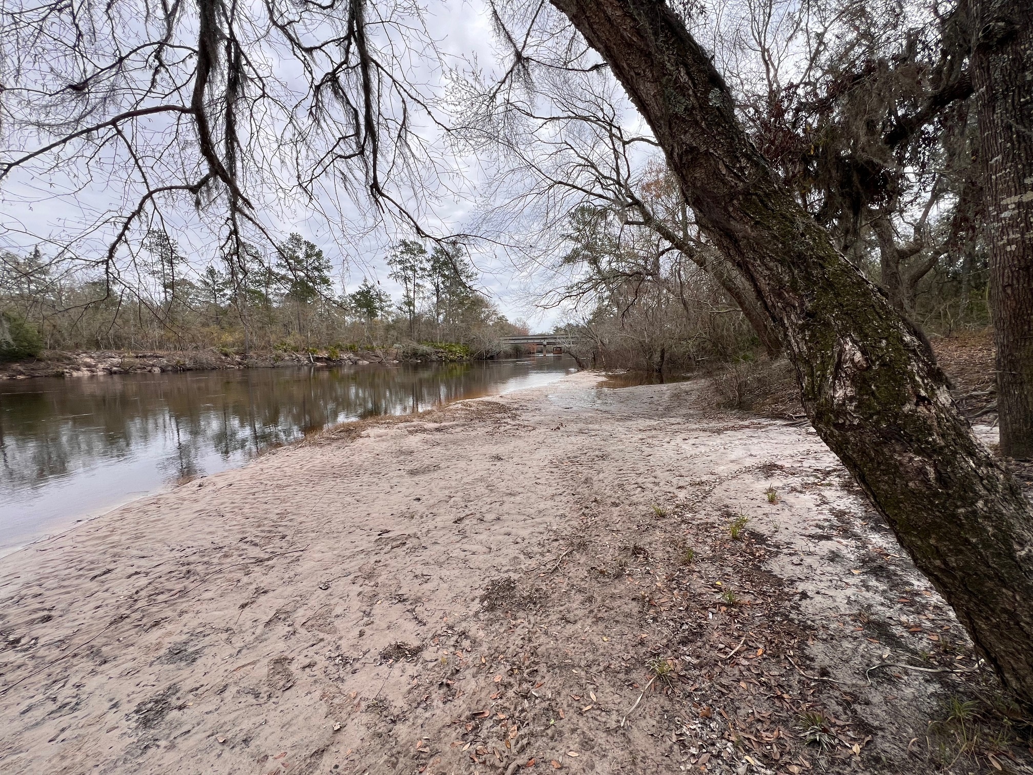 [Naylor Park Beach, Alapaha River 2024-02-29]