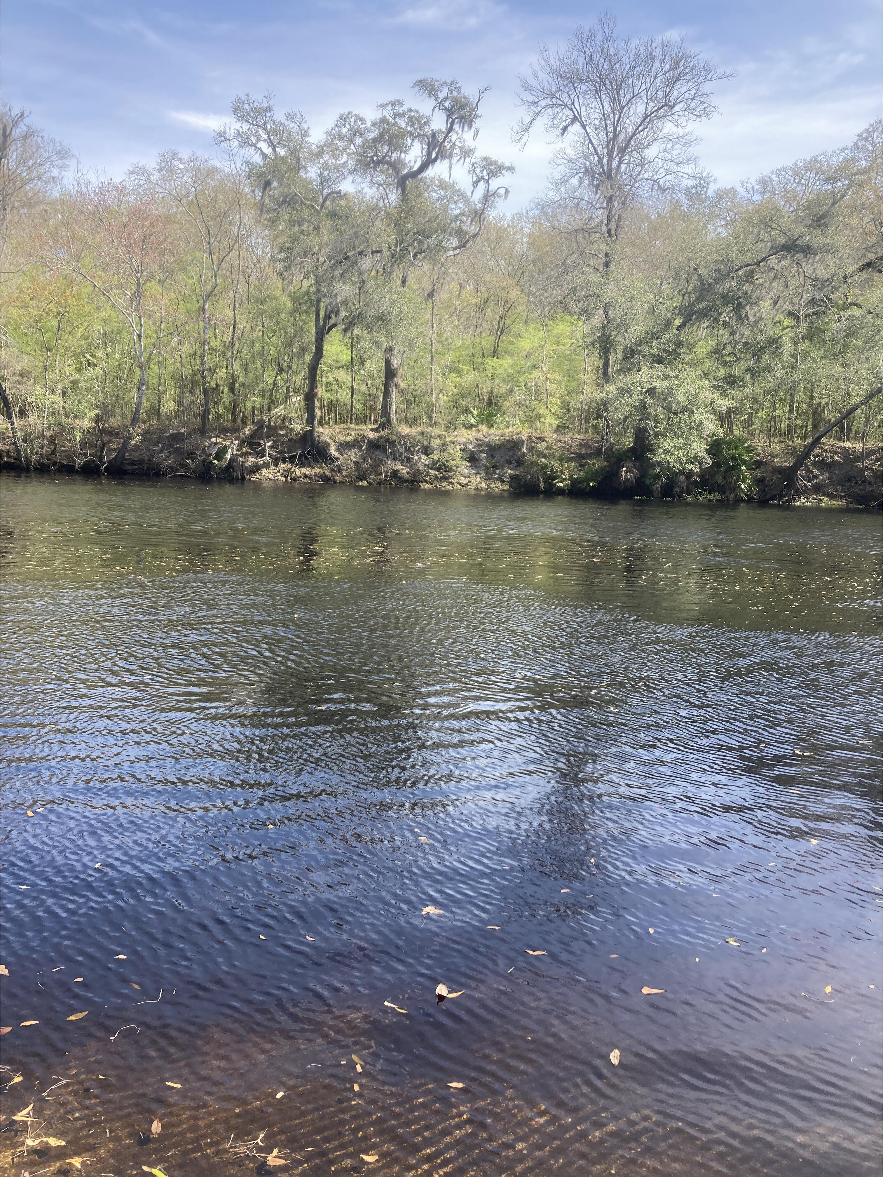 River, US 27 Ramp, Santa Fe River 2024-02-28