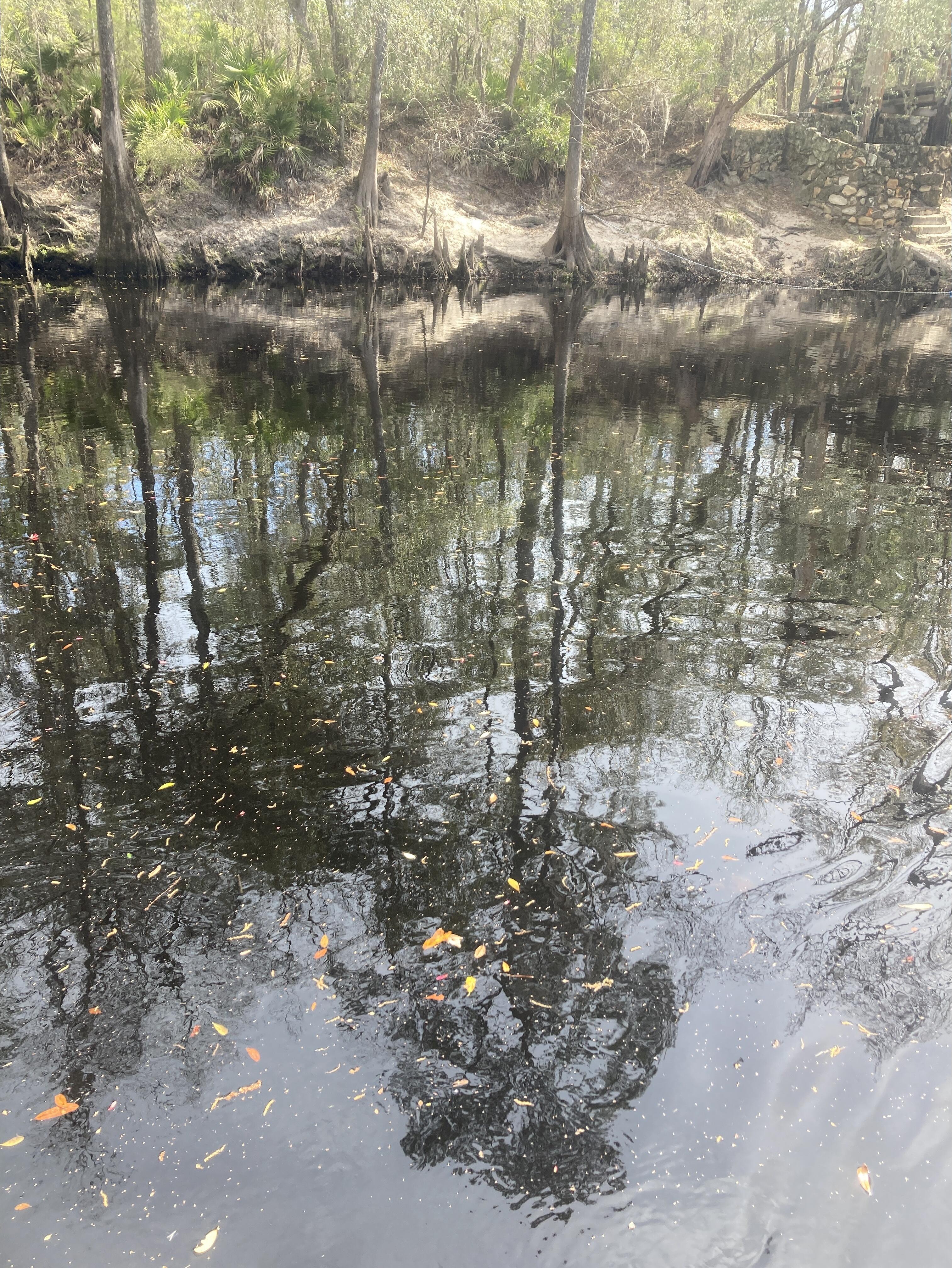 O'Leno Dock other, Santa Fe River @ O'Leno Park Road 2024-02-28