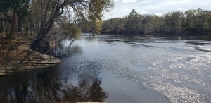 [Ivey Memorial Park Ramp other, Suwannee River @ US 27 2024-02-28]