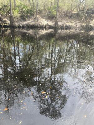 [O'Leno Dock other, Santa Fe River @ O'Leno Park Road 2024-02-28]