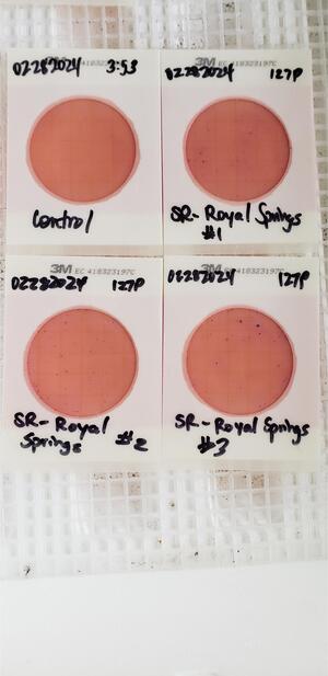 [Plates, Royal Springs Ramp 2024-02-28]