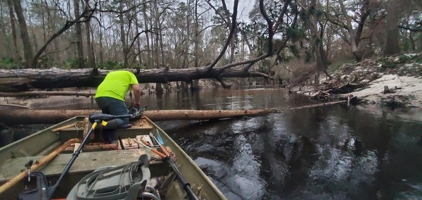 [Sawing the lower pine deadfall, 18:17:58, 30.8514241, -83.3391136]