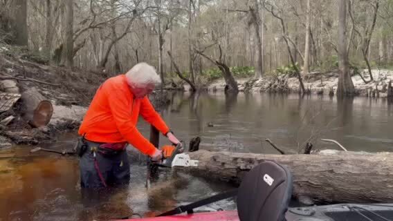 Movie: Phil Hubbard chainsawing the Crowe Deadfall (944K) --Gee Edwards, 30.8538, -83.3375