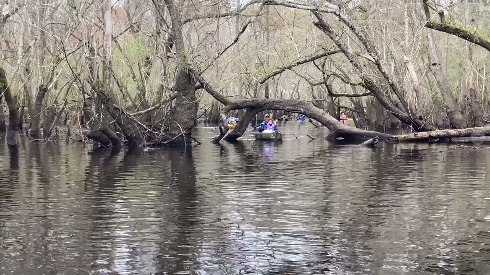 Mary Beth Brownlee ducks under --Gretchen Quarterman