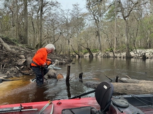 [Phil Hubbard chainsawing the Crowe Deadfall --Gee Edwards, 30.8538, -83.3375]