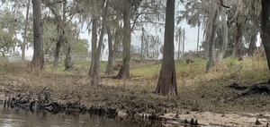 [Fence, Valdosta State Prison, 12:07:16, 30.8533577, -83.3465205]