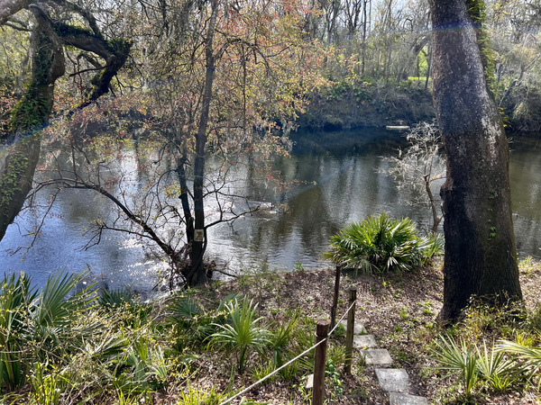 [Holly Point, Withlacoochee River @ NE Withla Bluffs Way 2024-03-06]