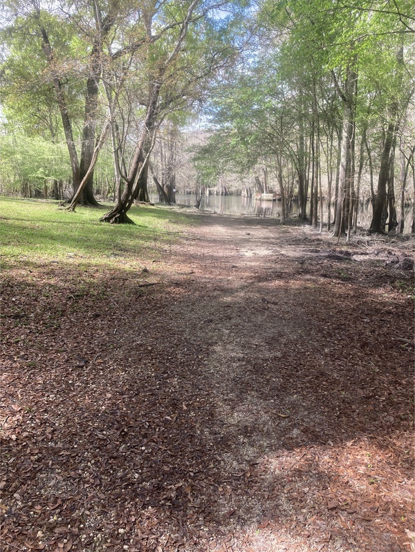 [Point Park, Ichetucknee River @ SW Riverside Ave. 2024-03-06]