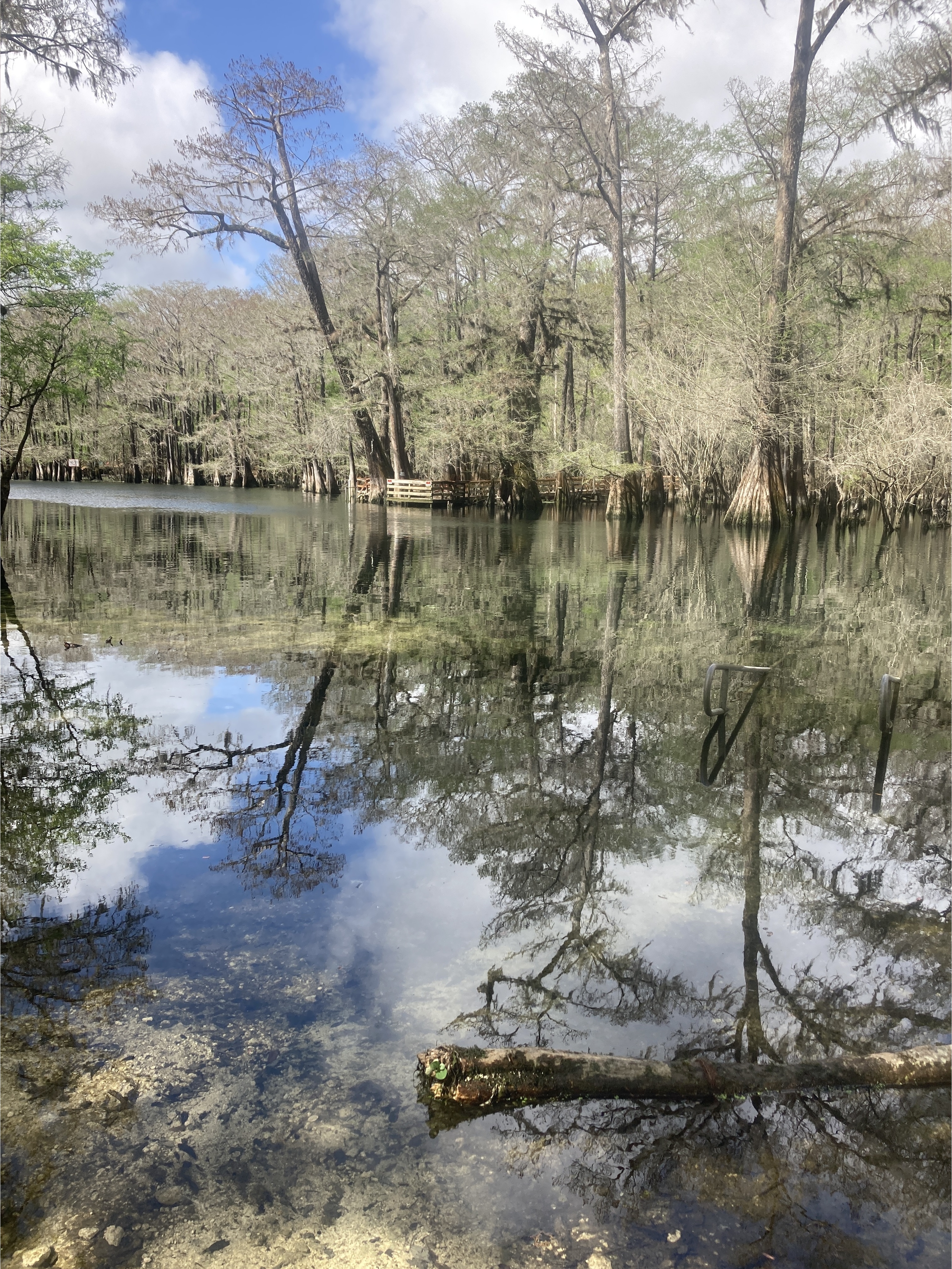 Point Park other1, Ichetucknee River @ SW Riverside Ave. 2024-03-06