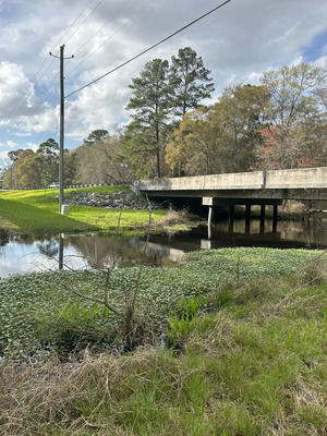 [Bridge, Franks Creek, @ GA 122 2024-03-06]