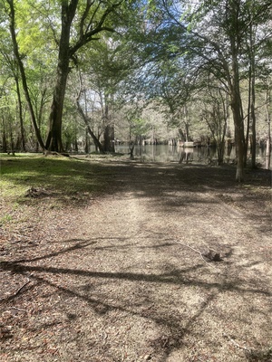 [Point Park other, Ichetucknee River @ SW Riverside Ave. 2024-03-06]