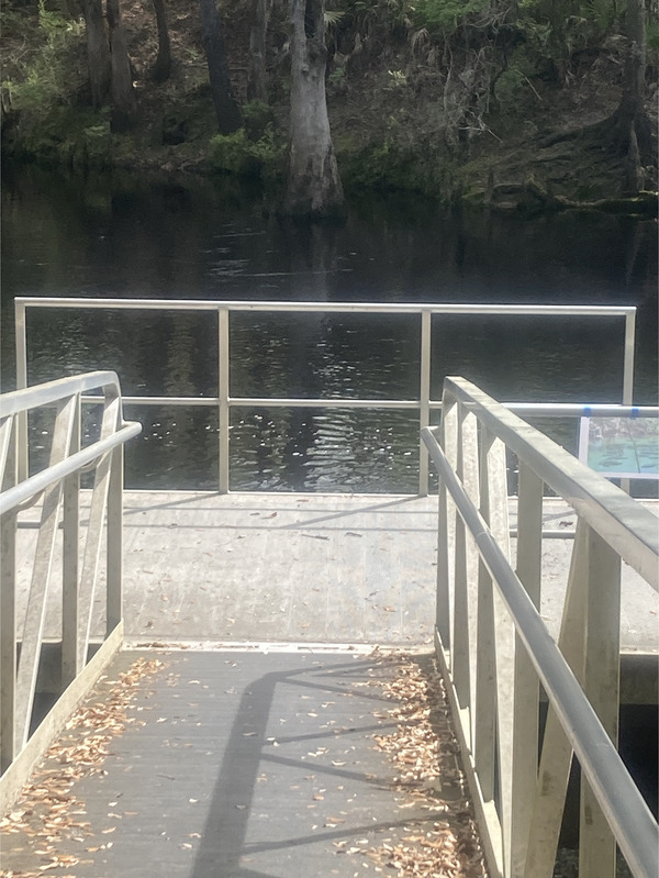 [O'Leno Dock, Santa Fe River @ O'Leno Park Road 2024-03-13]