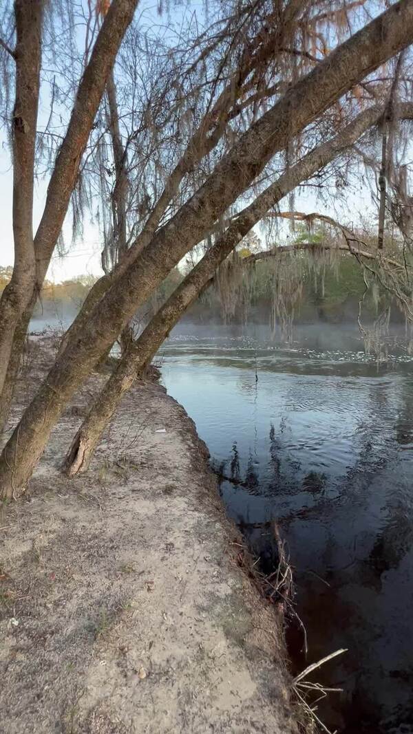 [Movie: Naylor Park Beach, Alapaha River @ US 84 2024-03-14]