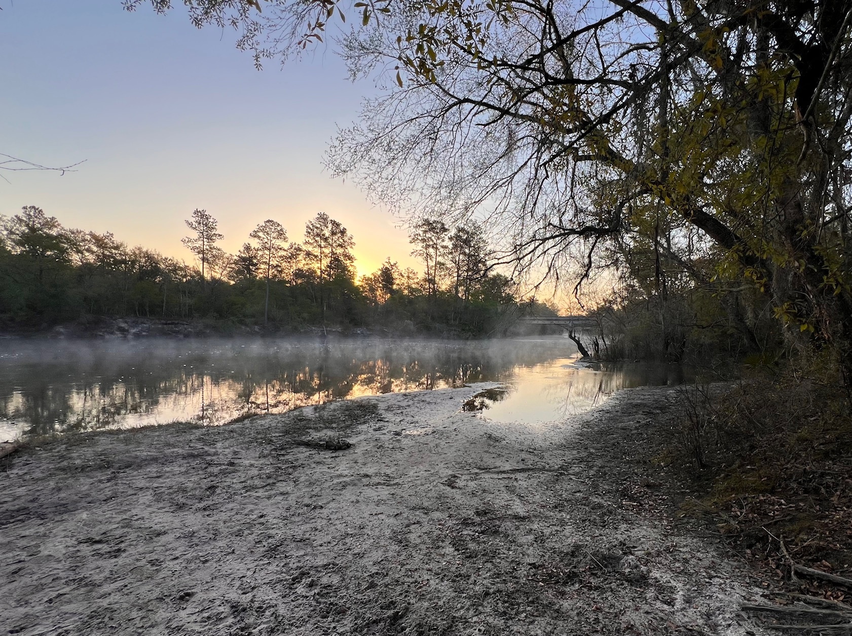 Naylor Park Beach, Alapaha River @ US 84 2024-03-14