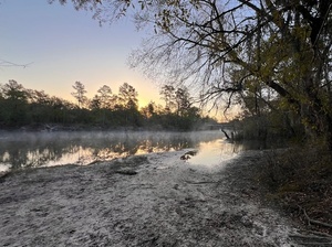 [Naylor Park Beach, Alapaha River @ US 84 2024-03-14]