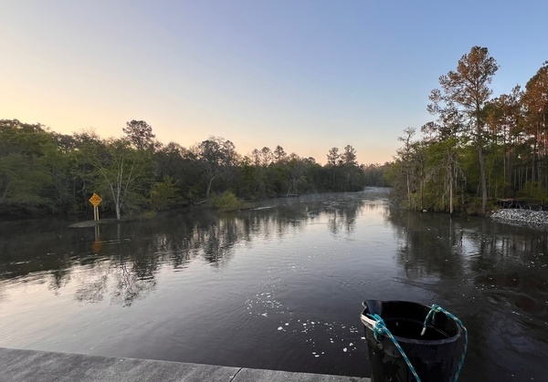 [Lakeland Boat Ramp, Alapaha River @ GA 122 2024-03-20]